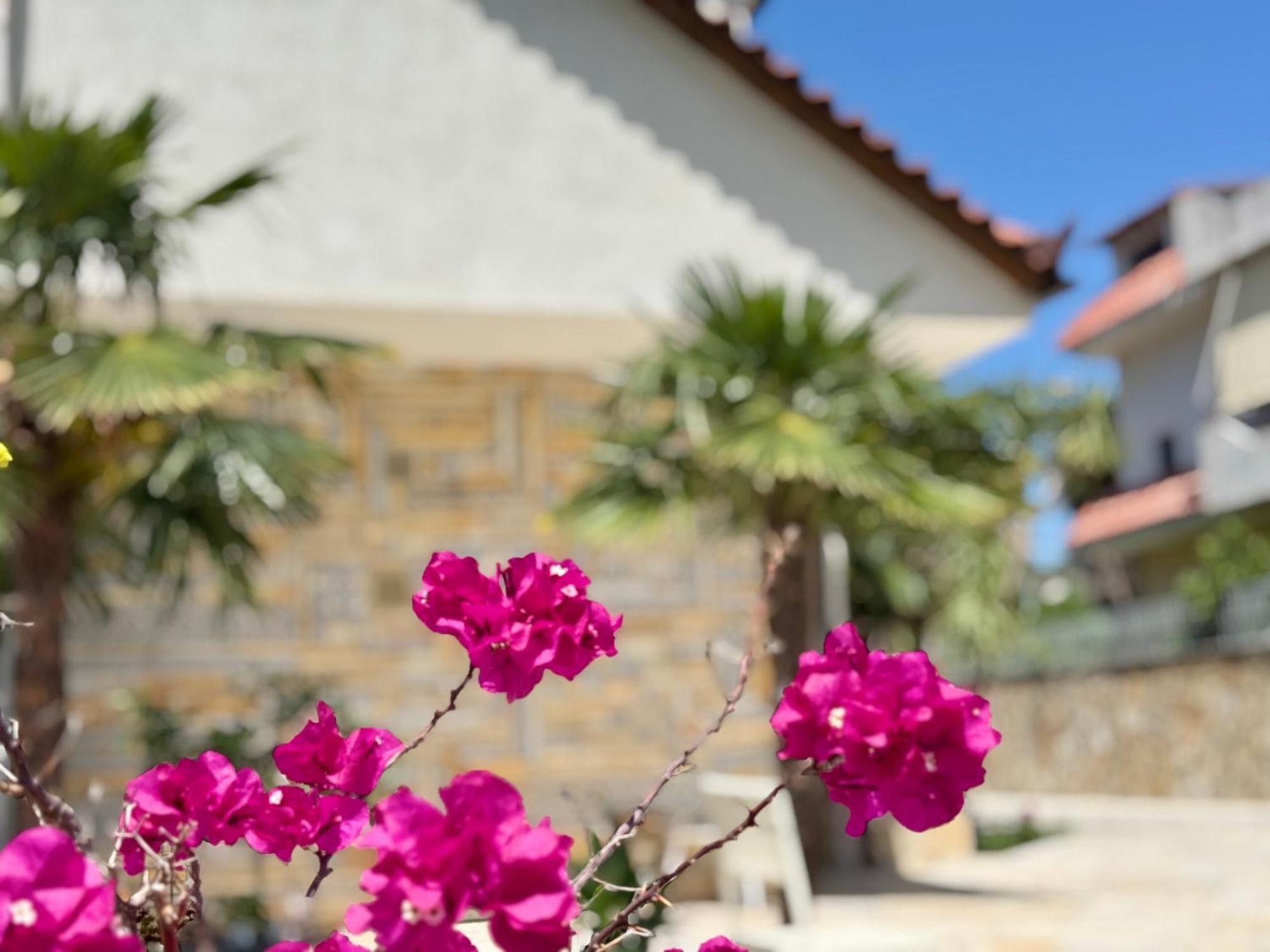 Vlorë Villa Ida Apartments מראה חיצוני תמונה