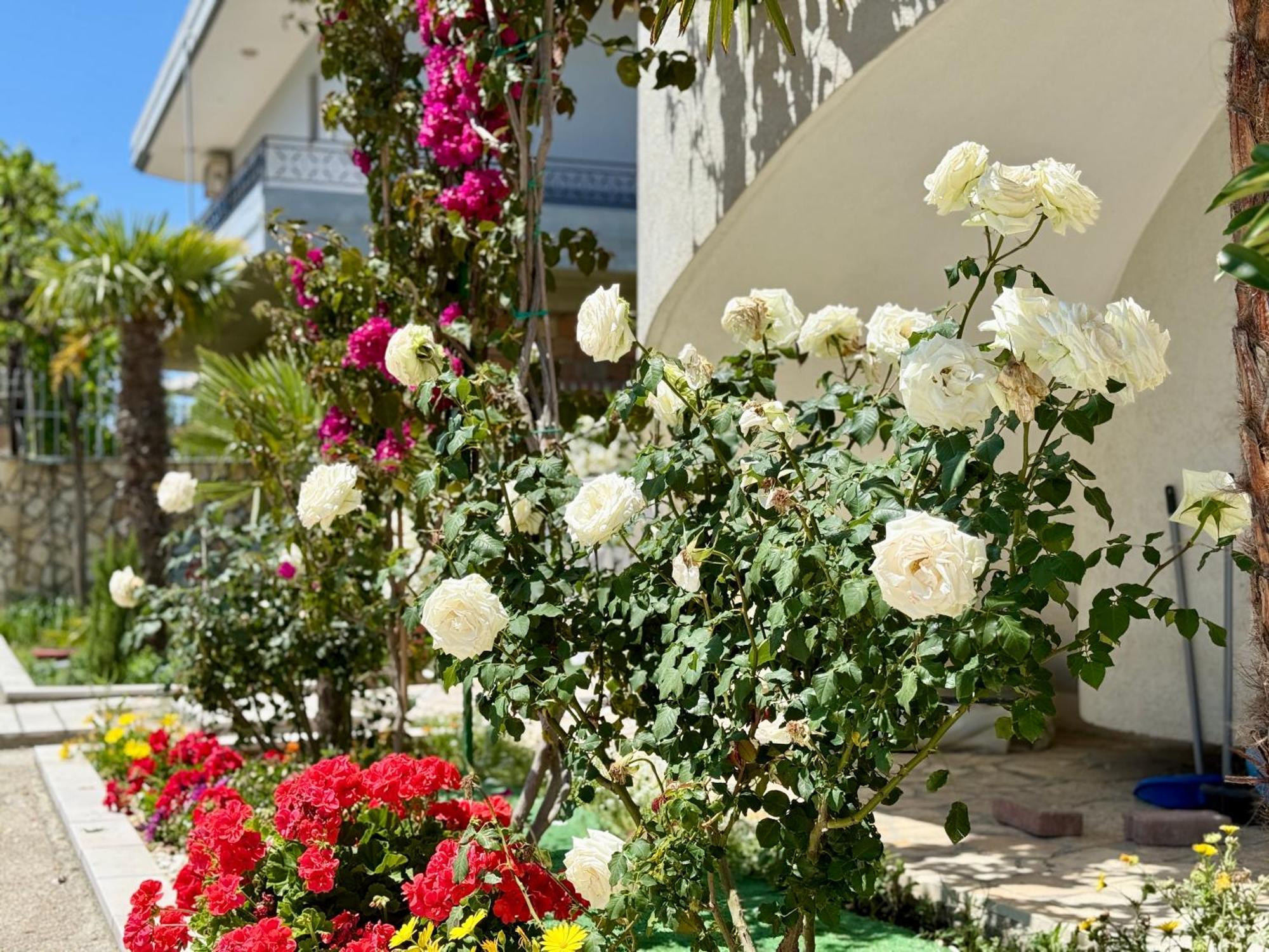Vlorë Villa Ida Apartments מראה חיצוני תמונה
